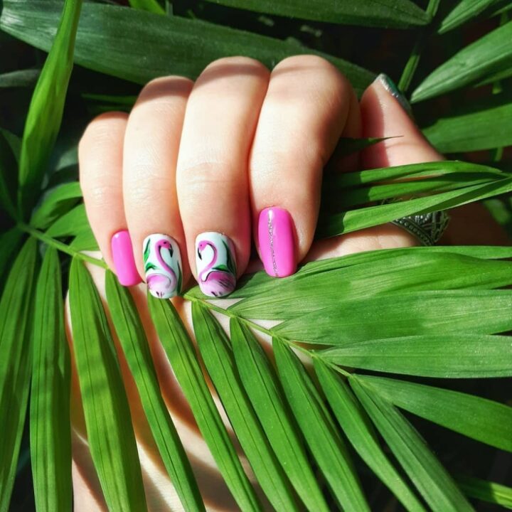 manikyur-flamingo
