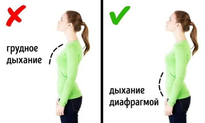dykhanie-zhivotom