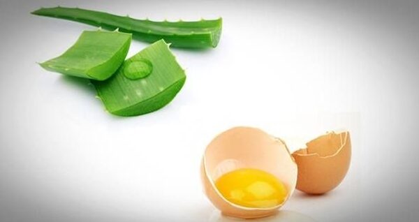 aloe-i-zheltok-dlya-volos.jpg