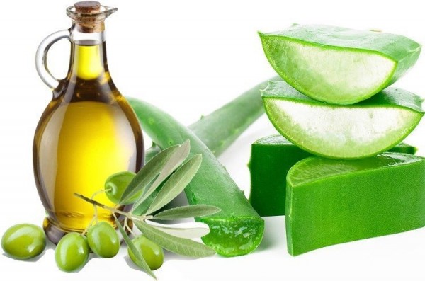 aloe-i-olivkovoe-maslo-dlya-volos.jpg