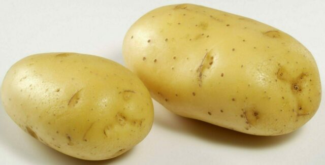 food white background couple potatoes plant potato produce land plant flowering plant vegetable potato and tomato genus root vegetable 616843 scaled e1600603693430