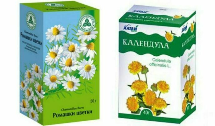 kalendula-i-romashka-dlya-ruk.jpg