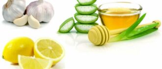 chesnok-limon-aloe-i-med-dlya-volos.jpg