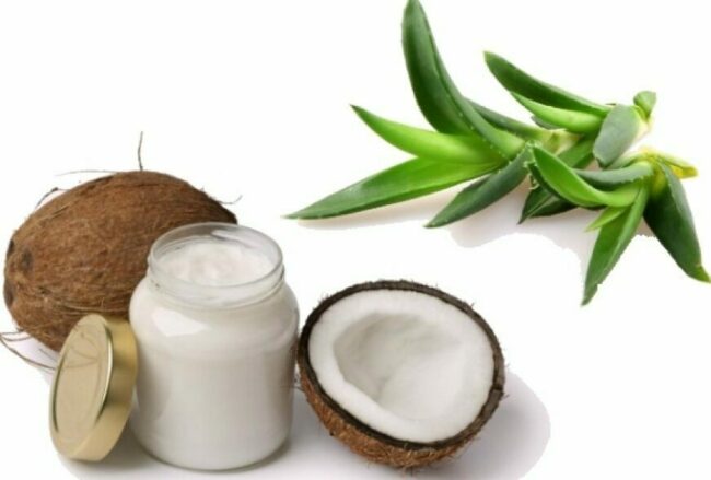 aloe-i-kokosovoe-maslo-dlya-volos.jpg
