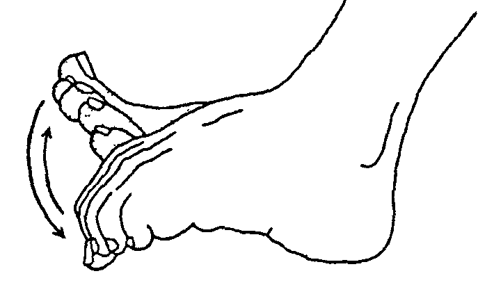 gimnastika-dlya-stop.jpg
