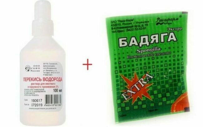 perekis 3 i badyaga 1 e1602345163926