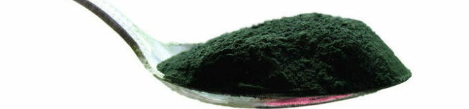 spirulina.jpg