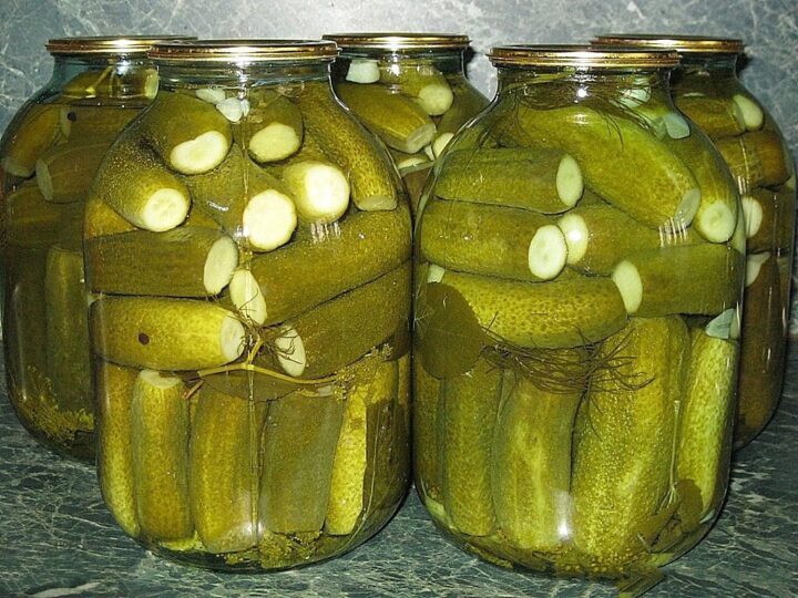zasolka-ogurtsov.jpg