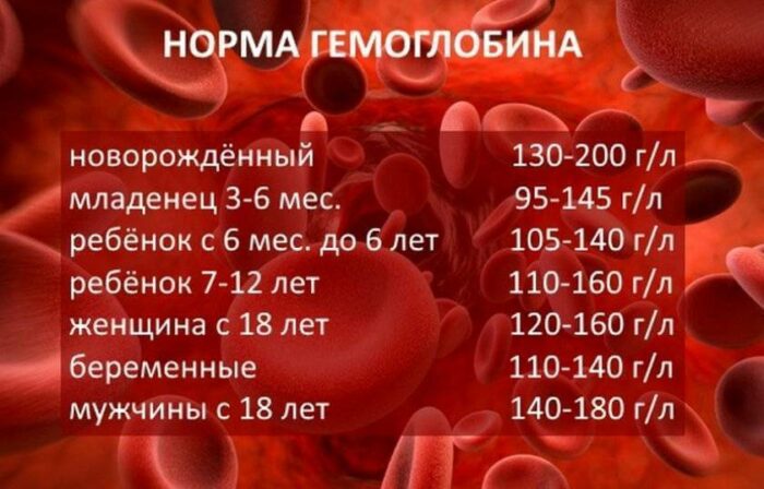 гемоглобин.jpg