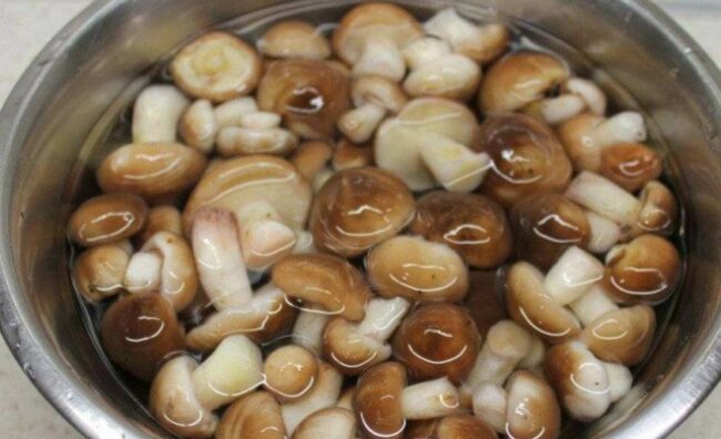 maslyata-na-zimu.jpg