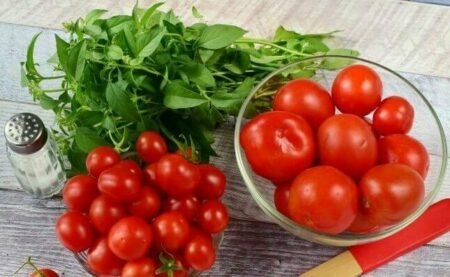 pomidori cherri v sobstvennom soku s bazilikom 521267 e1699256430617