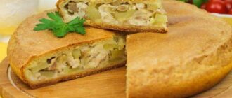pirog-kurnik.jpg