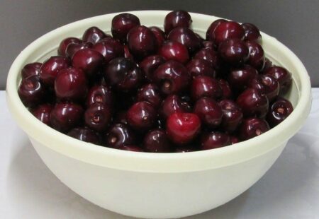 735b7accf621d848b38d5397ab1118471 e1752584909410