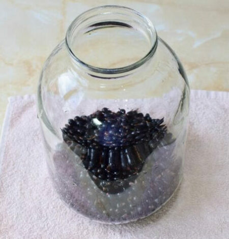 Компот из смородины на зиму 24 kompot iz chernoi smorodini na zimu na 3 litrovuiu banku 8716041 e1753973222657