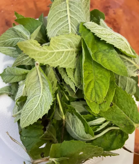 Компот из смородины на зиму 40 29167a89 98a0 4fc2 b01c 2b0c4ef930e7 12801 e1755360498375