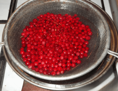 big 82743 Photoroom1 e1759679592516