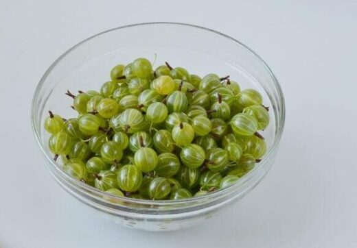 kompot iz krijovnika na zimu 7330581 e1759305997789