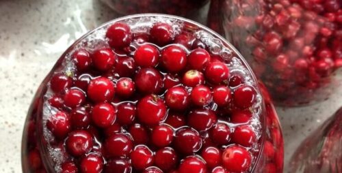 ksE xZj9hZM1 e1759680463400