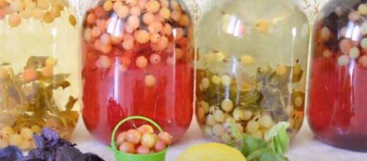 Компот из крыжовника на зиму